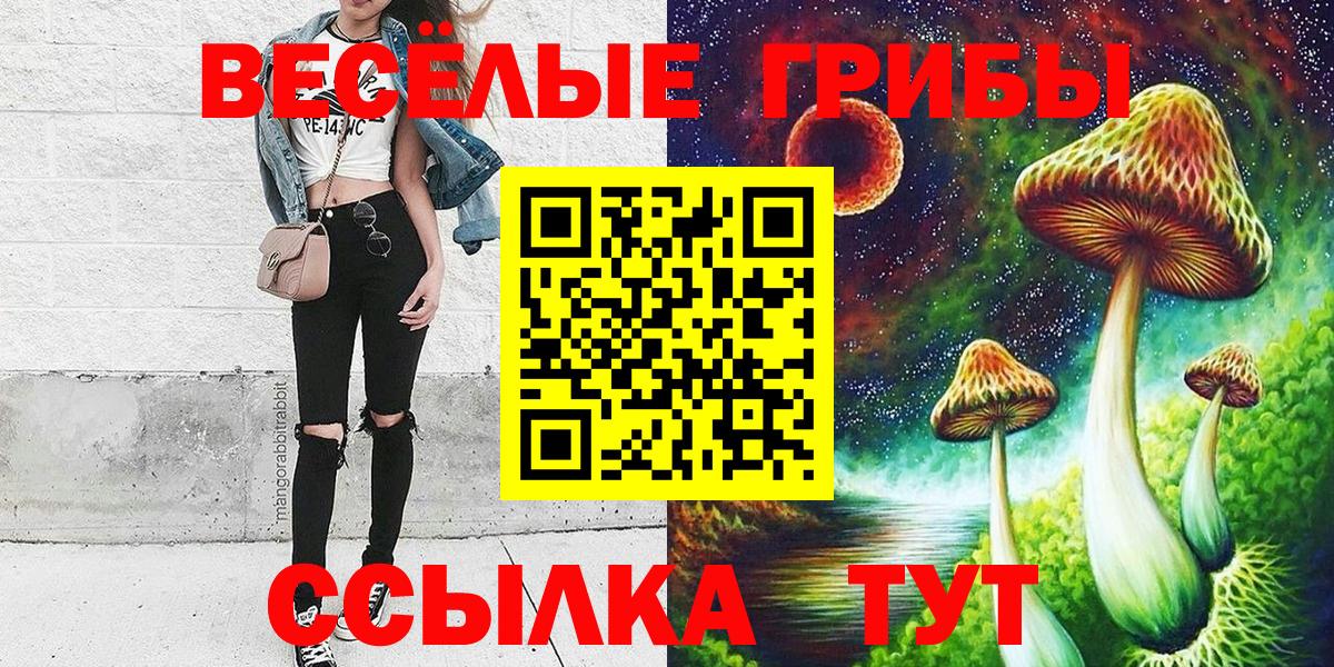 Псилоцибиновые грибы Psilocybine cubensis  Вход с VPN  Псков 